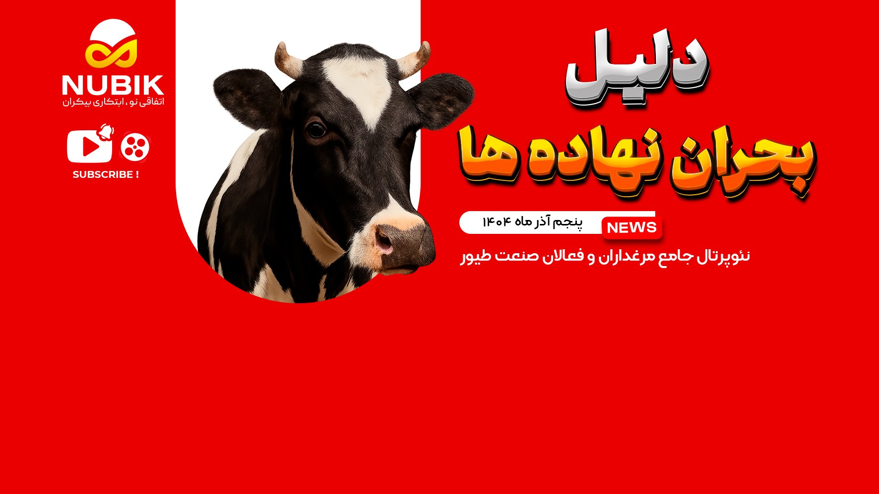 تازه ترین خبرهای صنعت دام و طیور/ 5 آذر 1404/ جهش قیمت مرغ،تخم مرغ،بحران نهاده و ...