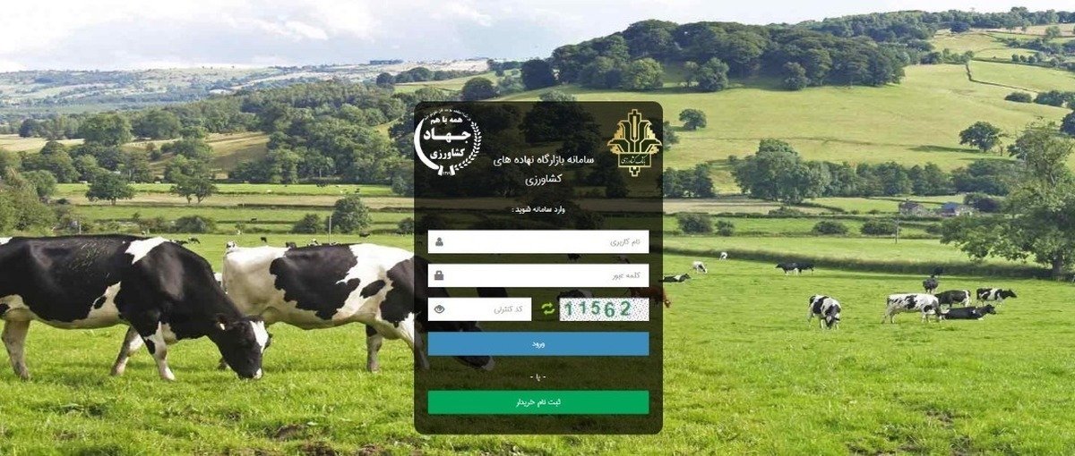 سامانه بازارگاه معضل برهم زدن نظم بازار