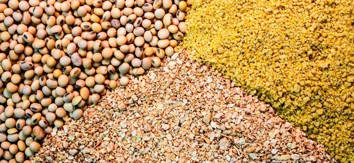 نهاده دامی مورد نیاز کشور تا پایان سال تامین است