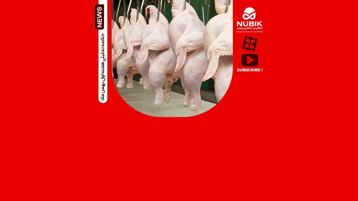 تازه ترین اخبار دام و طیور/ هفته ی اول بهمن ماه 1404