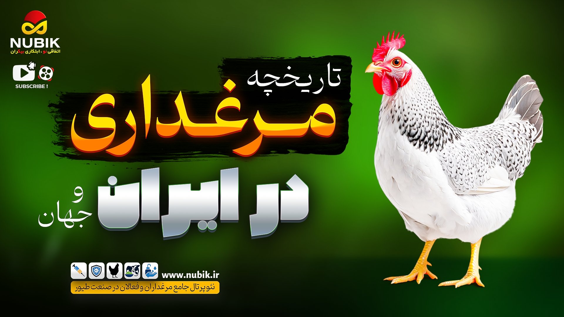 درباره ی تاریخچه ی پرورش مرغ گوشتی در ایران و جهان بیشتر بدانیم