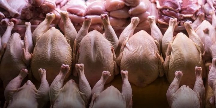قیمت‌های ارشادی جدید مرغ راه حلی برای شفافیت بازار