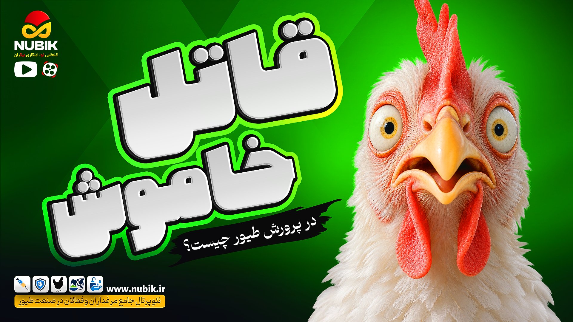 مدیریت نور برای بهبود عملکرد جوجه‌های گوشتی – قسمت اول