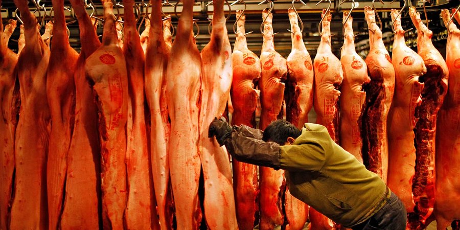 ضرورت واردات سالانه ۲۵۰ هزارتن گوشت قرمز