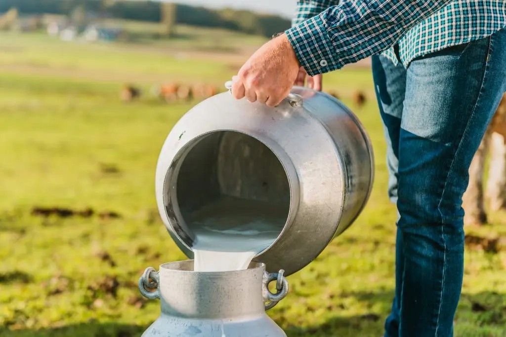 افزایش ۱۲۰ درصدی قیمت شیرخام در ۸ ماهه اخیر