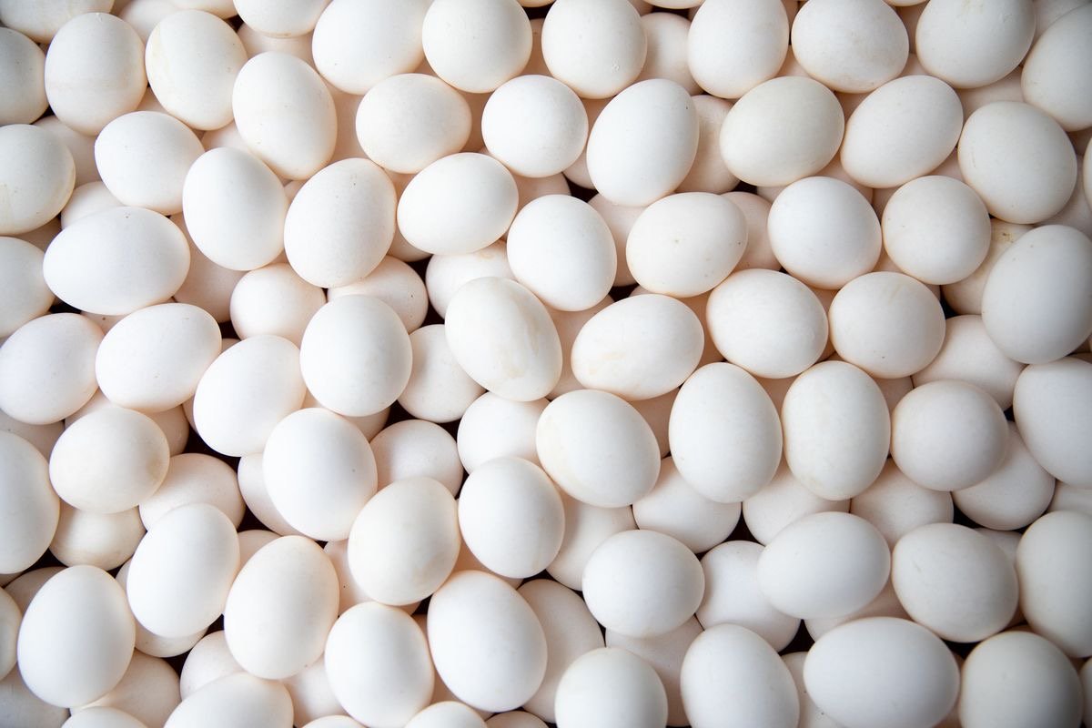 قیمت هر شانه تخم مرغ به ۲۵۰ هزارتومان رسید/کمبودی در عرضه تخم مرغ نداریم