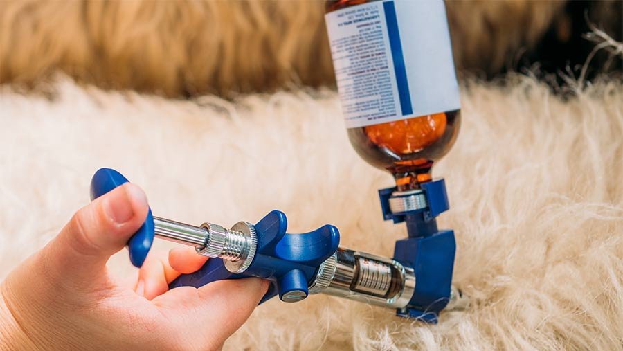 واکسیناسیون جمعیت دامی ادامه دارد